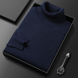 Pull Col Roulé en Cachemire Alioth