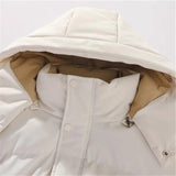 Veste à capuche élégante pour hommes